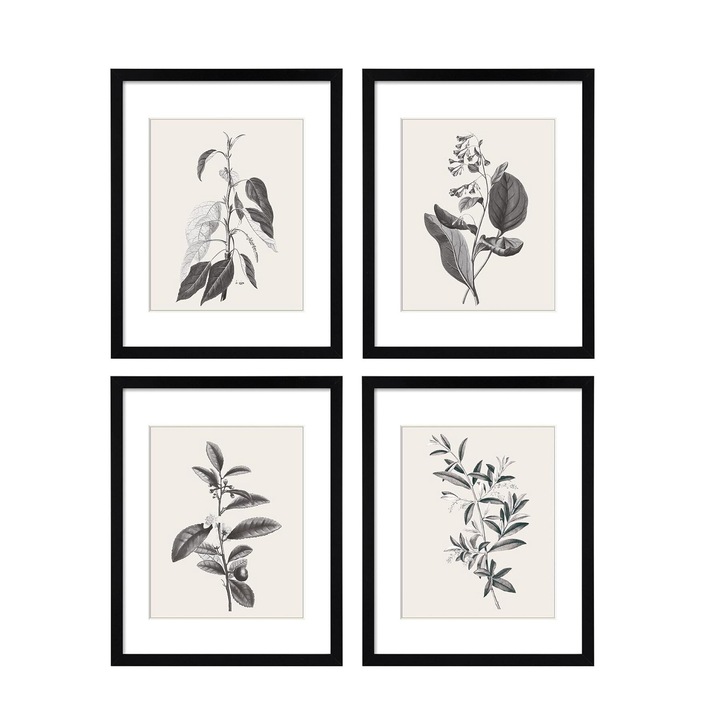 Set 4 Rame Decorative cu Fotografii, ArtByHannah, Sticla Acrilica, 28x35cm, Negre, Paspartu, Model cu Plante
