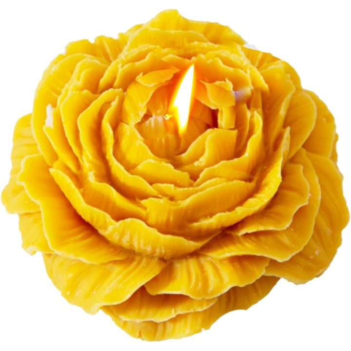 Ароматна свещ, Leski, Модел Роза, Време на горене 10ч, 70 г, 7.5 x 3.5 см, Аромат на цитруси, Оранжева