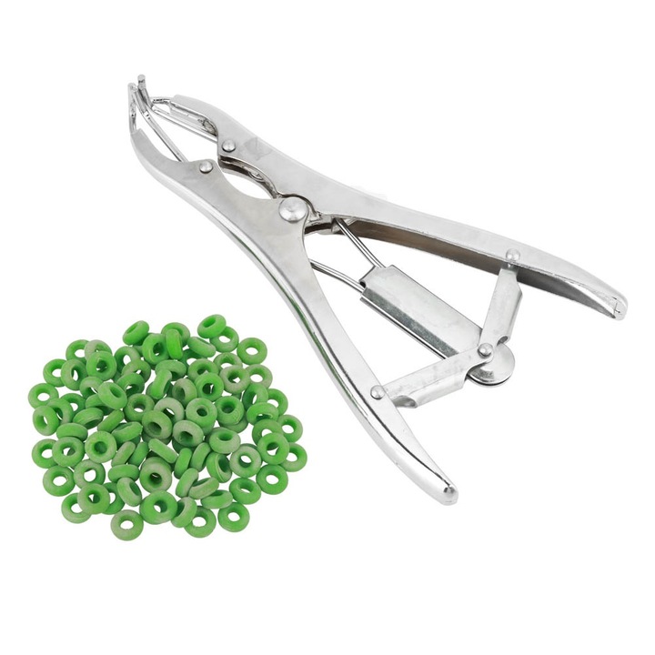 Rozsdamentes acél kasztrálófogó, Enforose, 100 dokkológyűrű, ezüst, 21.5cm