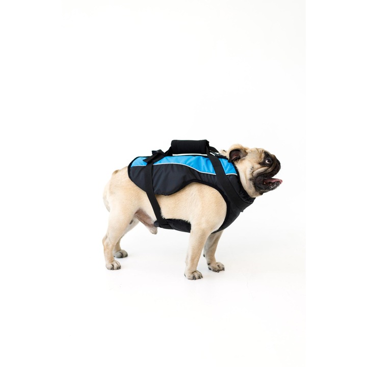 AVA mentőmellény kutyáknak, DOGGY modell, állítható, XL-es méret