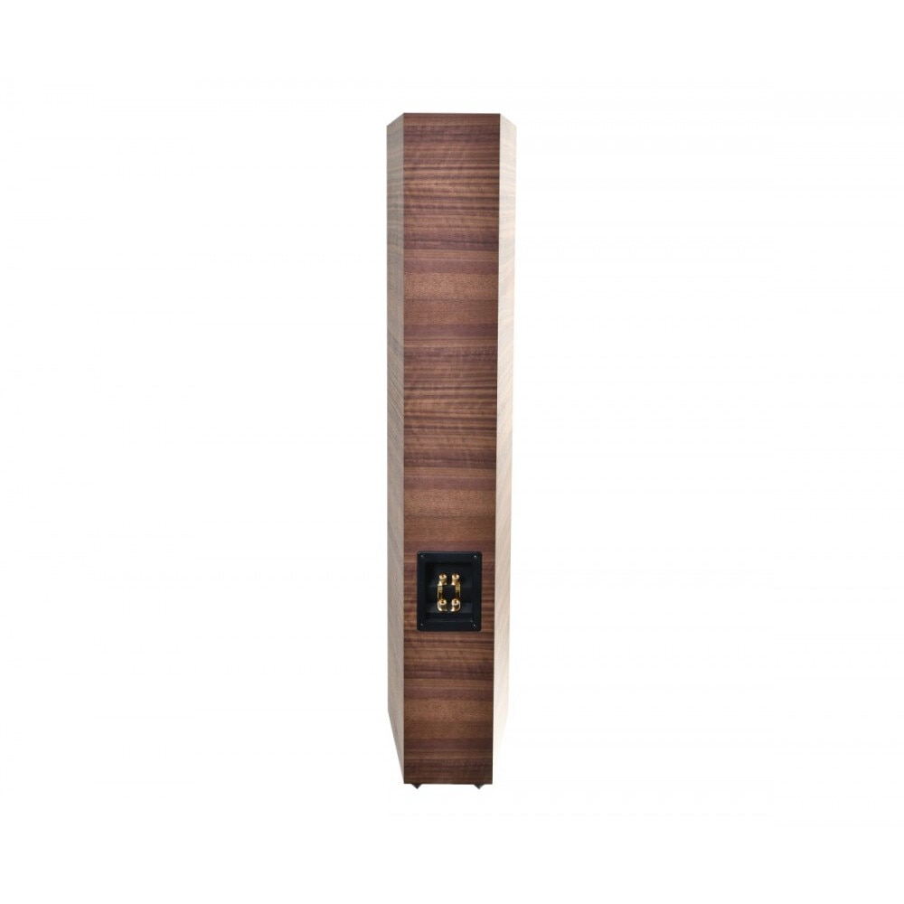 Boxe Acoustique Quality Labrador 38, trapezoidala, 220W, Scan-Speak, finisaj din furnir natural