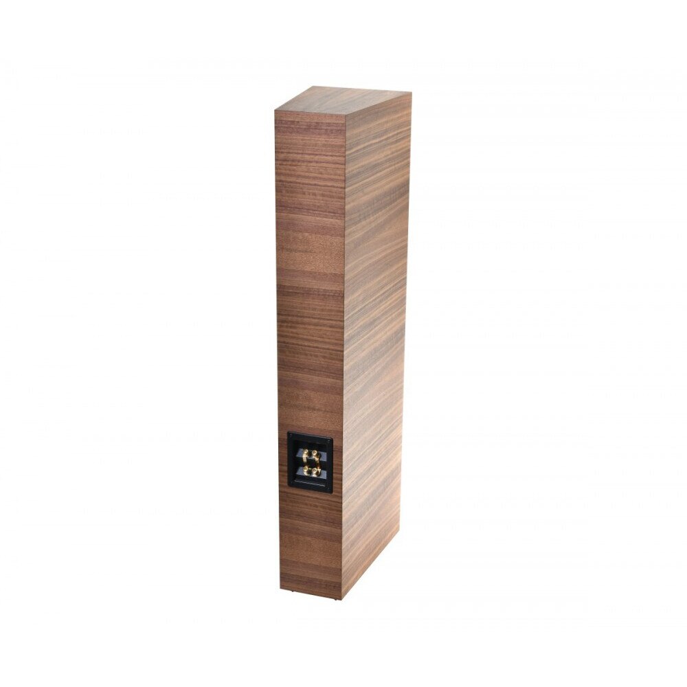 Boxe Acoustique Quality Labrador 38, trapezoidala, 220W, Scan-Speak, finisaj din furnir natural