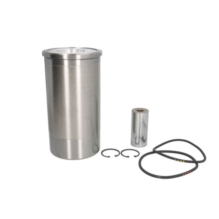 Set momtor Case - 92982960, 3228793R91, 87555996, 3144516R95, 3144516R97, 25/31-113, 25/31-113KS