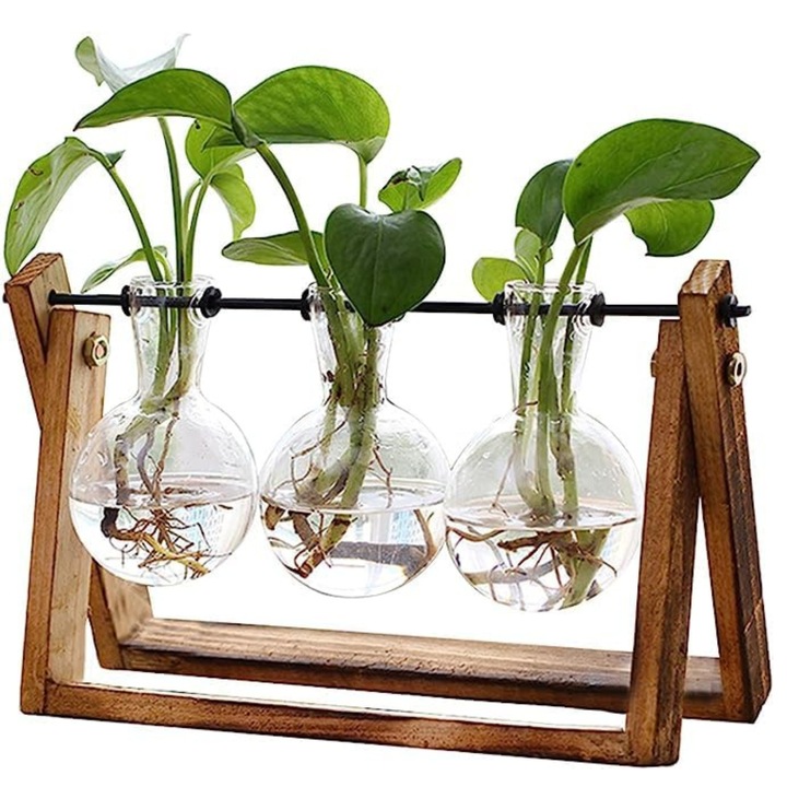 Set 3 Vaze de Sticla pentru Hidroponie cu Suport din Lemn, Levco, Rotativ