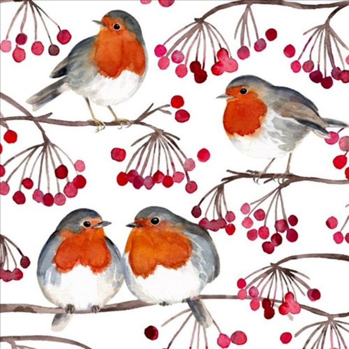 Servetele, PPD, Birds & Berries hartie 33x33cm, 20buc