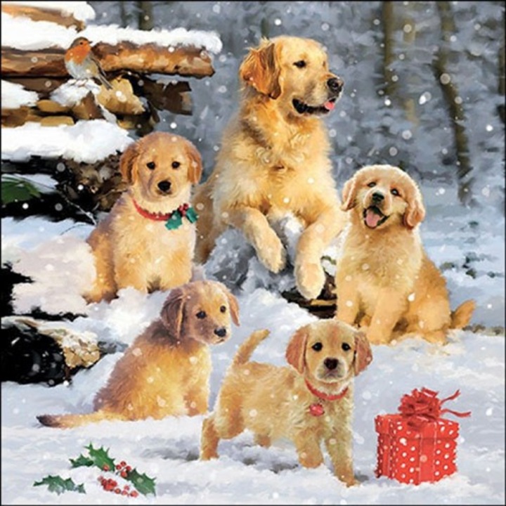 Servetele, Ambiente, Golden Retriever Puppies hartie 33x33cm, 20buc