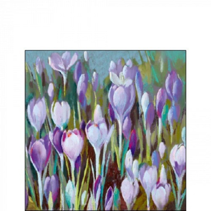 Servetel hartie crocus 25x25cm, 20buc