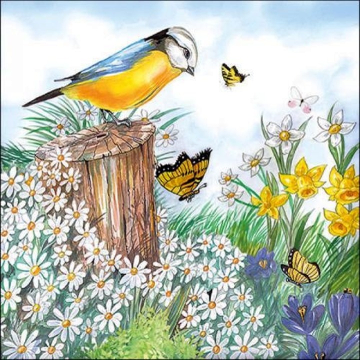 Servetel hartie Bird Watching 33x33cm, 20buc