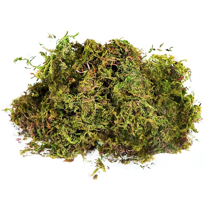 Muschi artificial verde, 100g, decor pentru plante in ghiveci, ideal pentru gradina si evenimente speciale