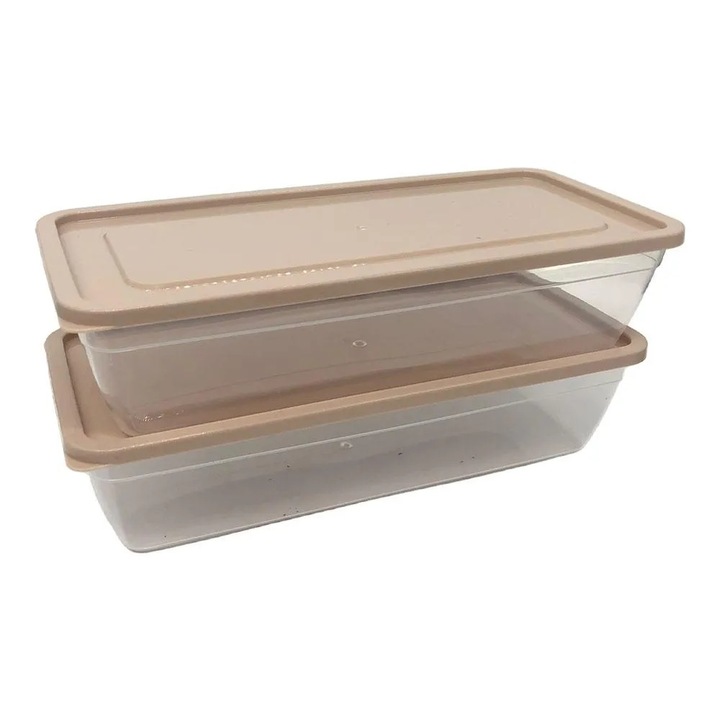Set 2 cutii alimentare Midi Oganiser, G Golden Case, dreptunghiulare, 900 ml, BPA Free, maro