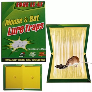 Insecticide si repelente