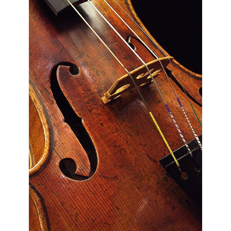 Tablou canvas, produs DekoStore, pentru dormitor/living/birou, inramat pe cadru de lemn, print HD, Vioara, 70x100 cm