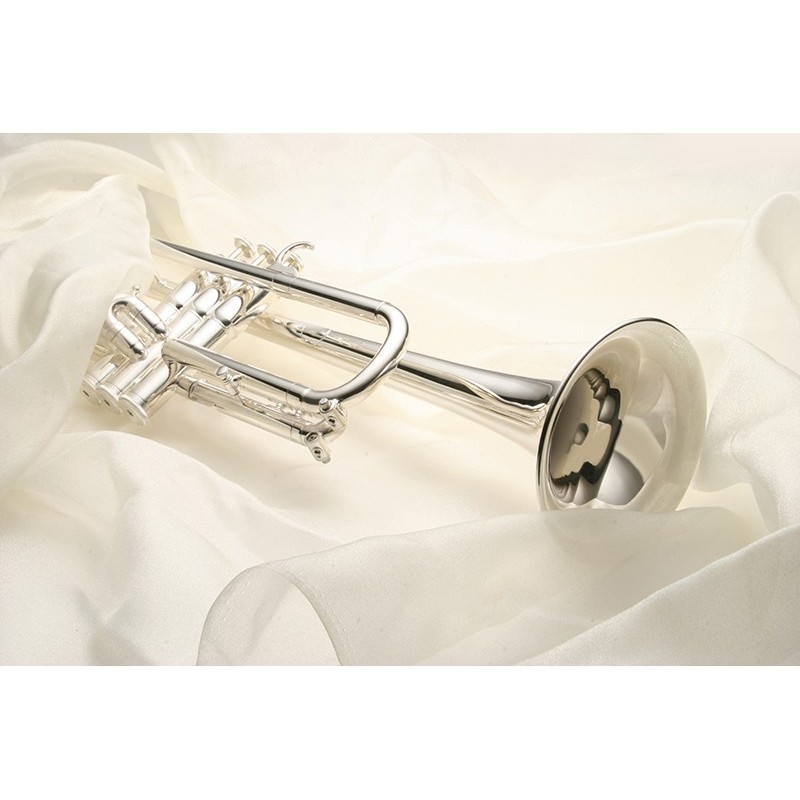 Tablou canvas, produs DekoStore, pentru dormitor/living/birou, inramat pe cadru de lemn, print HD, Trompeta, 60x80 cm