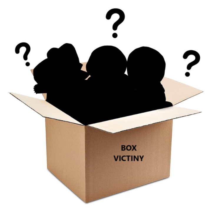 Mystery box xl Pokemon&Go VICTINY ® (tartalom a leírásban)