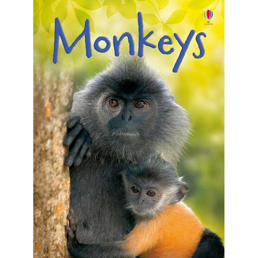 Monkeys - Carte Usborne (4+)