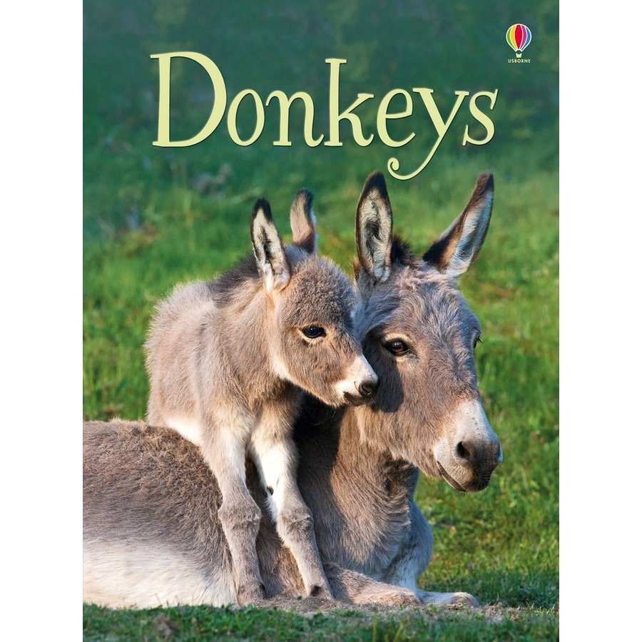 Beginners Donkeys - Carte Usborne (4+)