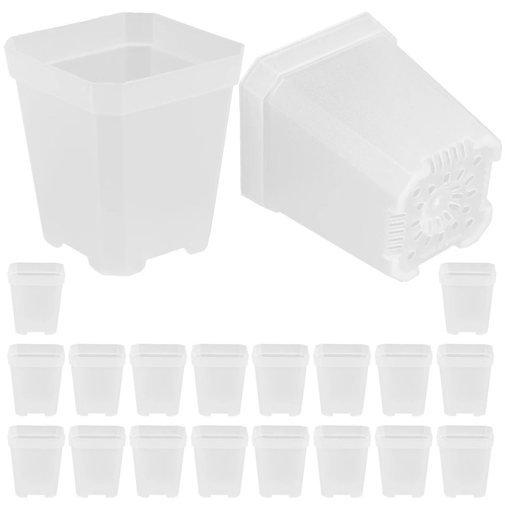 Set 20 Ghivece pentru Plante Suculente, PP, Transparent, 7.70x6.80x6.80cm