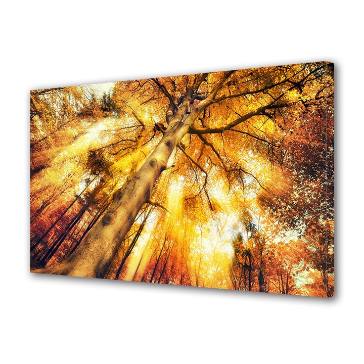 Tablou Canvas Peisaj de Toamna cu Perdea de lumina printre ramuri, 30 x 45 cm