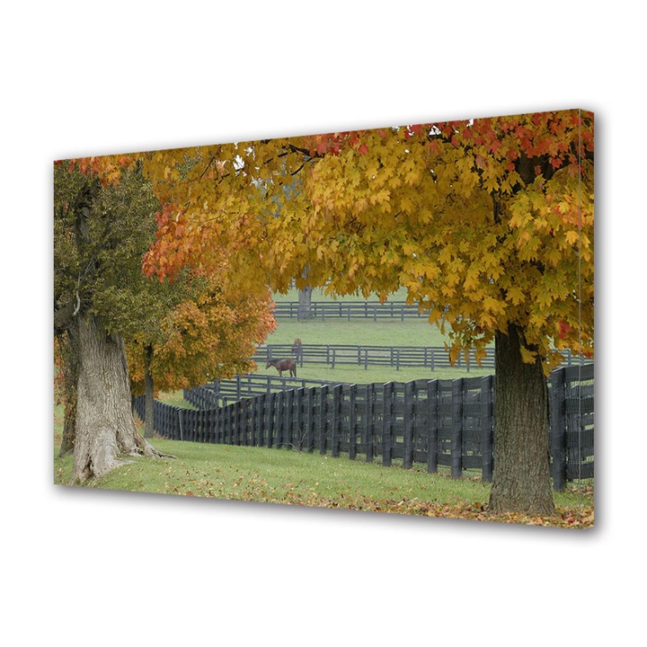 Tablou Canvas Peisaj de Toamna cu Cal in tarc dimineata de toamna, 20 x 30 cm