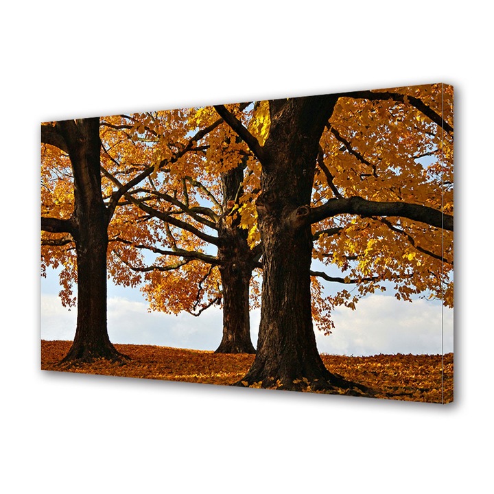 Tablou Canvas Peisaj de Toamna cu Copaci cu frunze galbene, 20 x 30 cm