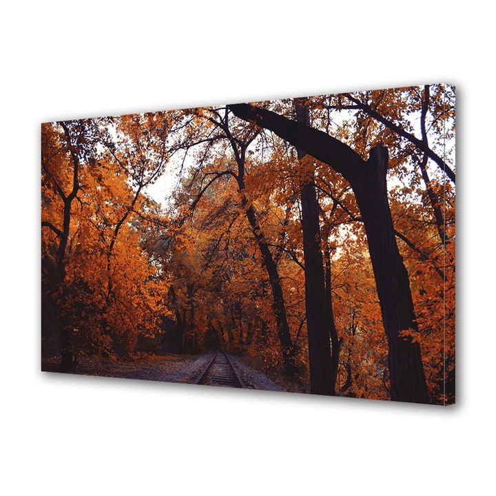 Tablou Canvas Peisaj de Toamna cu Tunel natural cu frunze rosii, 30 x 45 cm