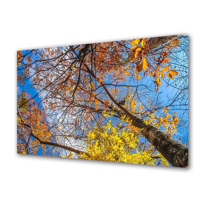 Tablou Canvas Peisaj de Toamna cu Sub copacii ingalbeniti, 20 x 30 cm