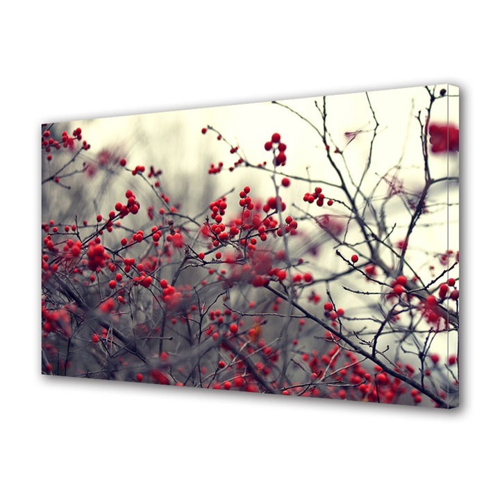Tablou Canvas Peisaj de Toamna cu Fructe salbatice rosii, 70 x 100 cm