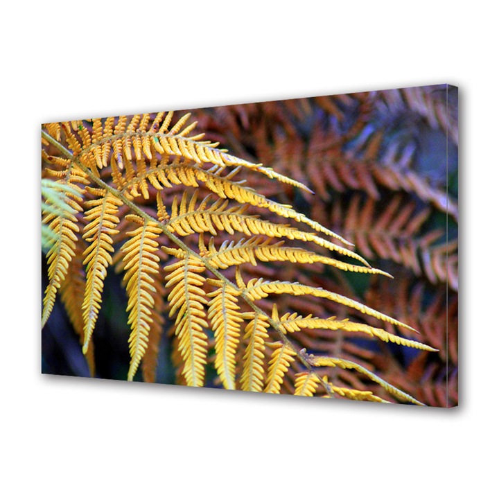 Tablou Canvas Peisaj de Toamna cu Feriga galbena, 80 x 160 cm