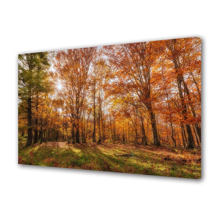 Tablou Canvas Peisaj de Toamna cu Lumina difuza printre copaci, 20 x 30 cm