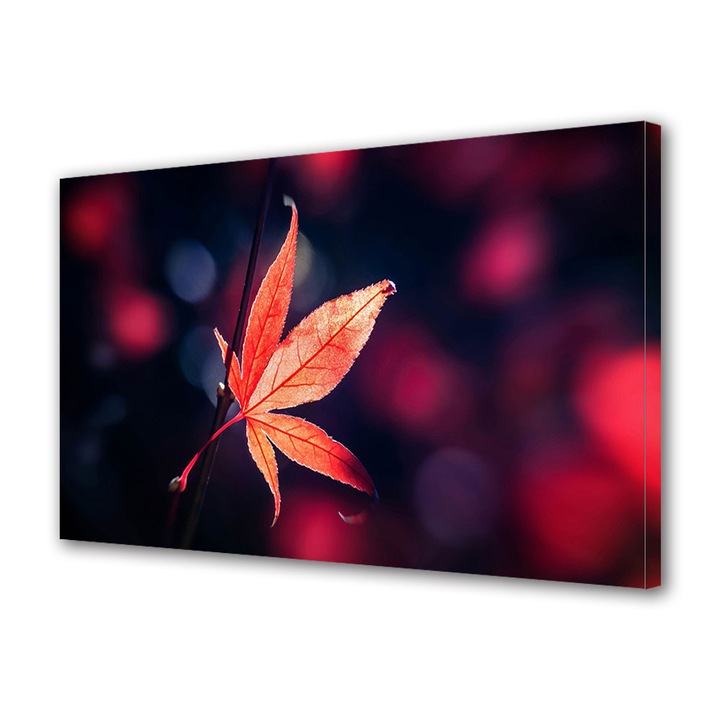 Tablou Canvas Peisaj de Toamna cu Nuante de rosu si mov, 20 x 30 cm