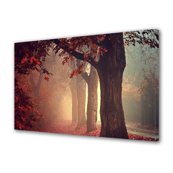 Tablou Canvas Peisaj de Toamna cu Copaci in ceata, 20 x 30 cm