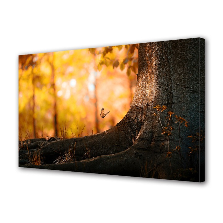 Tablou Canvas Peisaj de Toamna cu Fluture in zbor langa copac, 20 x 30 cm