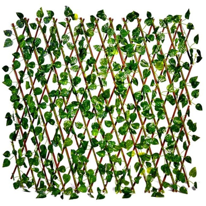 Дървена пергола с листа CXN 60х180см