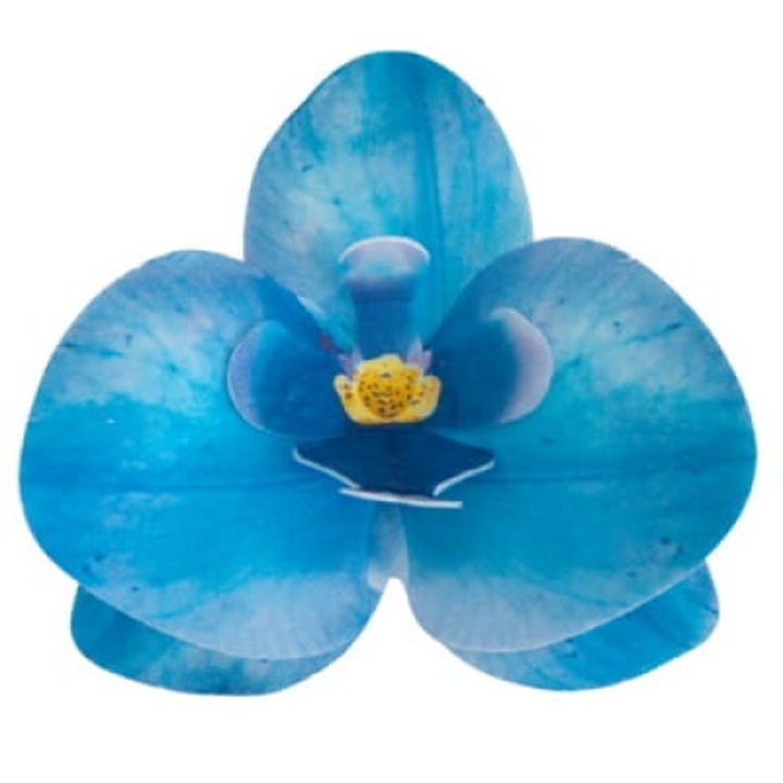 Decoratiune Wafloasa Set 10 buc, Rose Decor, Orhidee, Albastru, 7,5 cm