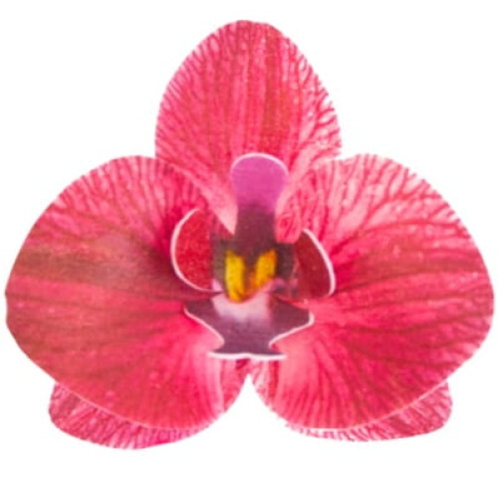 Set 10 flori pentru tort, Rose Decor, model orhidee, bordo, 7,5 cm