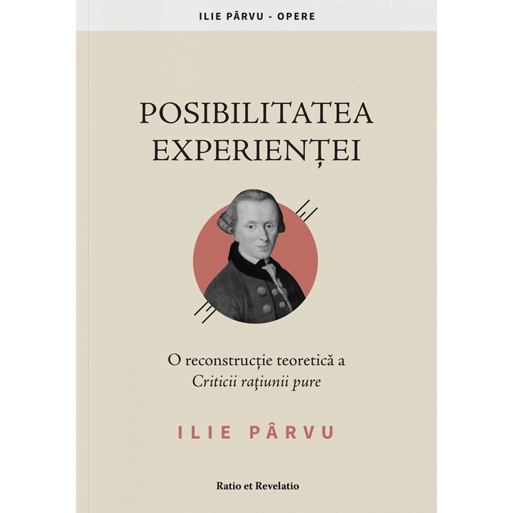 Posibilitatea experientei. O reconstructie teoretica a Criticii ratiunii pure - Ilie Parvu