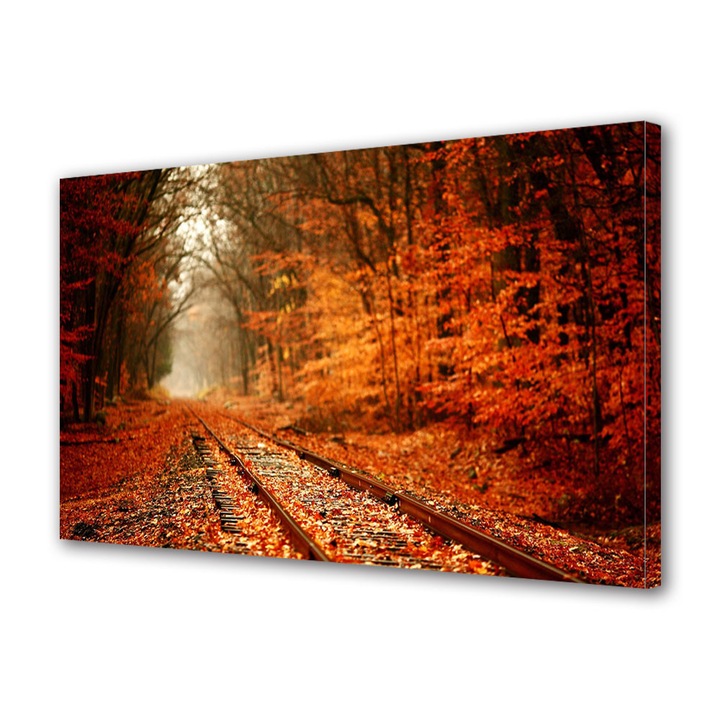 Tablou Canvas Peisaj de Toamna cu Frunze pe calea ferata, 30 x 45 cm