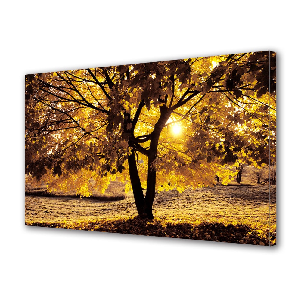 Tablou Canvas Peisaj de Toamna cu Copac galben la apus, 80 x 140 cm