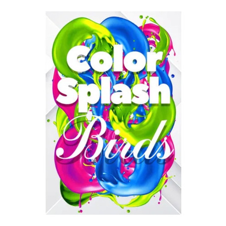 Color Splash: Birds (PC - Steam elektronikus játék licensz)