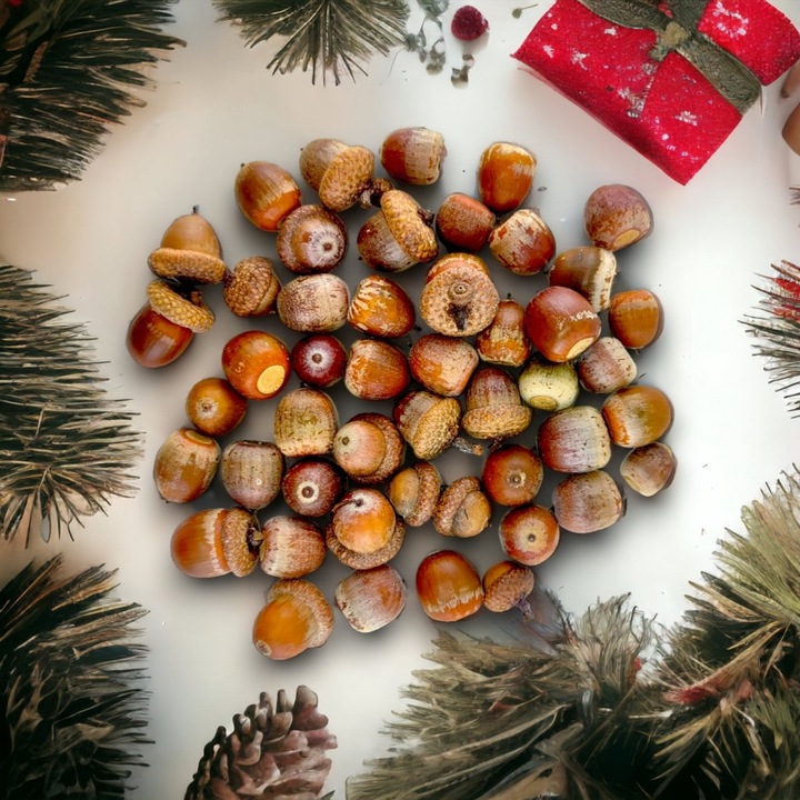 Set de 50 ghinde naturale ColorFulWorld pentru decorare - eMAG.ro