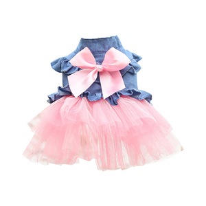 Haine animale de companie