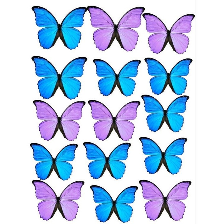 Decoratiune tort set 15 bucati, Cake Land, colorat, 6x7cm