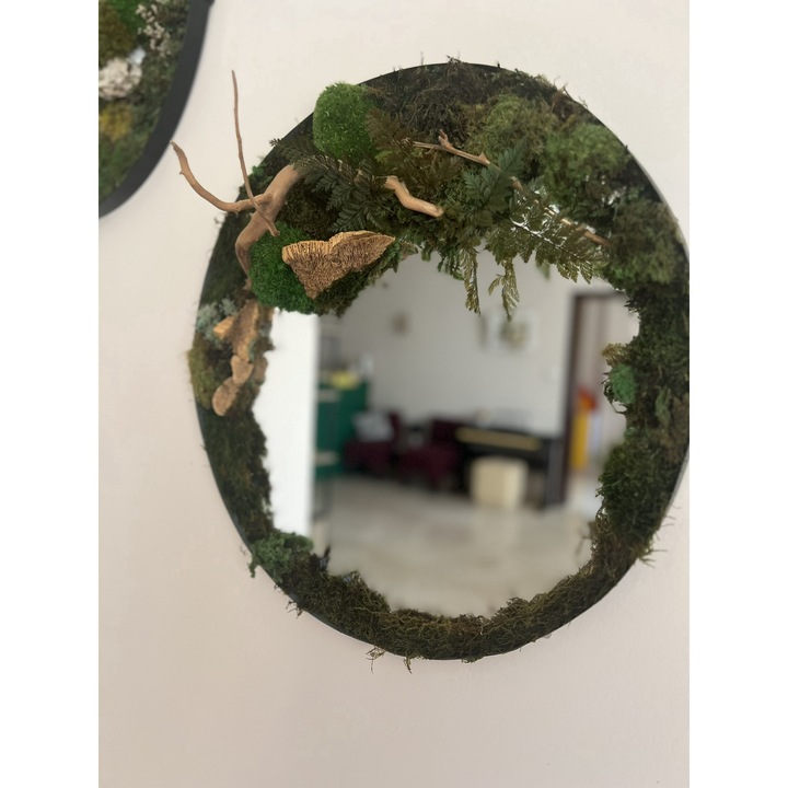 Tablou Oglinda cu Muschi naturali Stabilizati