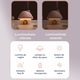 Umidificator de aer 3 in 1 Ultrasonic Zennic® Mushroom Pentru Camera Celui Mic, Proiector Lumini tip Sunset lamp, cu Lampa de Veghe, Design Atractiv