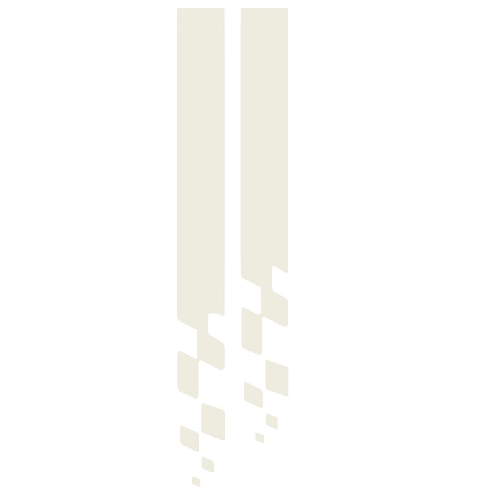 Sticker auto dungi capota racing, tuning, 90x21cm, alb