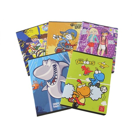 Caiet A5 24 File Geometrie Pigna Clasic Emag Ro