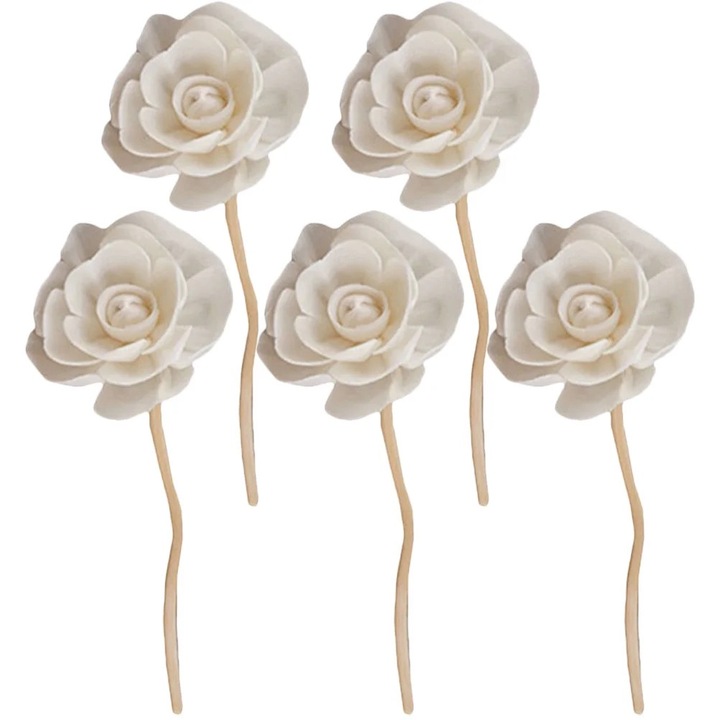 Set 5 betisoare difuzor aroma, rattan, multicolor, 21x5x5cm