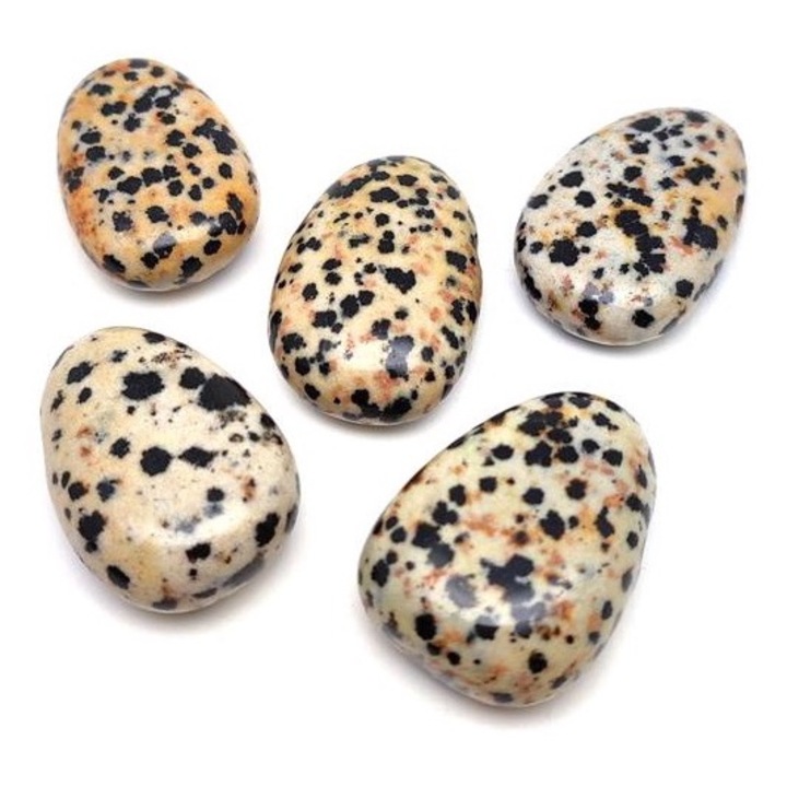 Pandantiv dalmatian cu jasp perforat