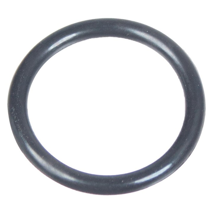 O-ring pentru Cedrus Masina de spalat cu presiune Mc110 560123