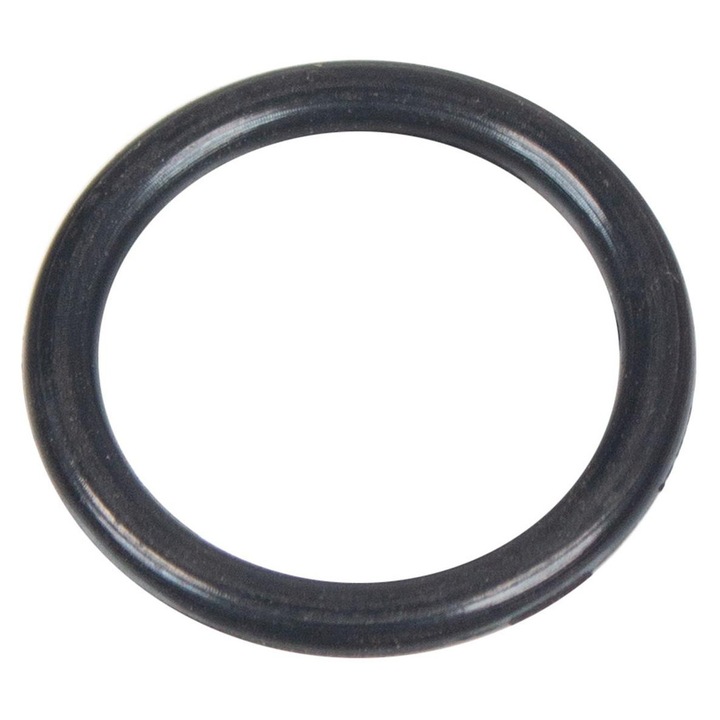O-ring Cedrus16 X 1,9 Masina de spalat cu presiune Mc150P 560311